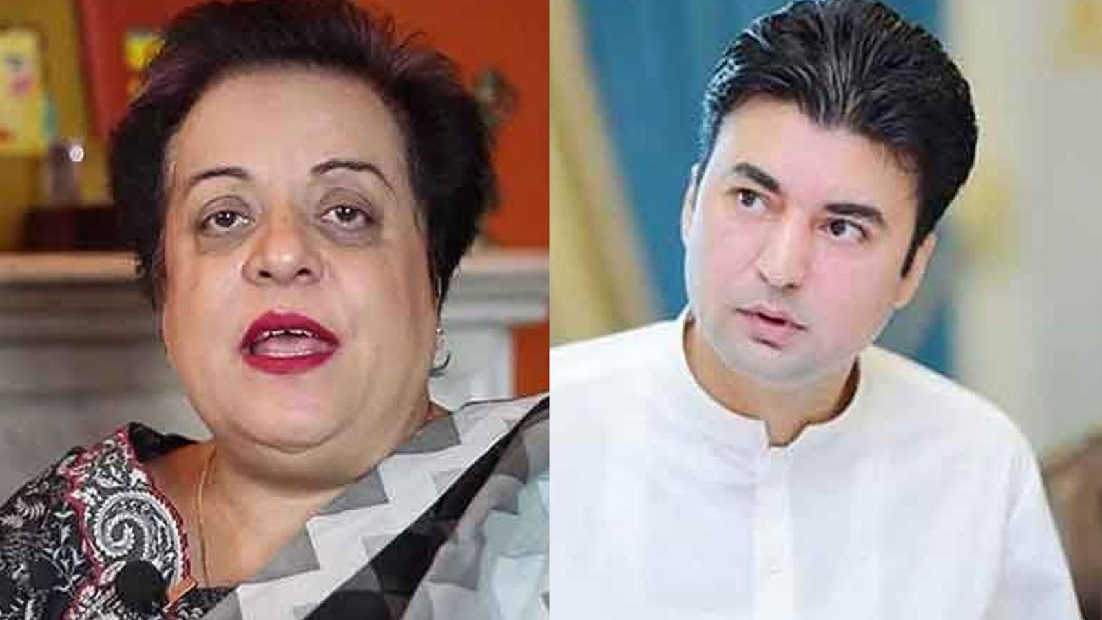 مراد سعید اور شیریں مزاری سمیت تحریک انصاف کے بڑے نام ECL سے خارج