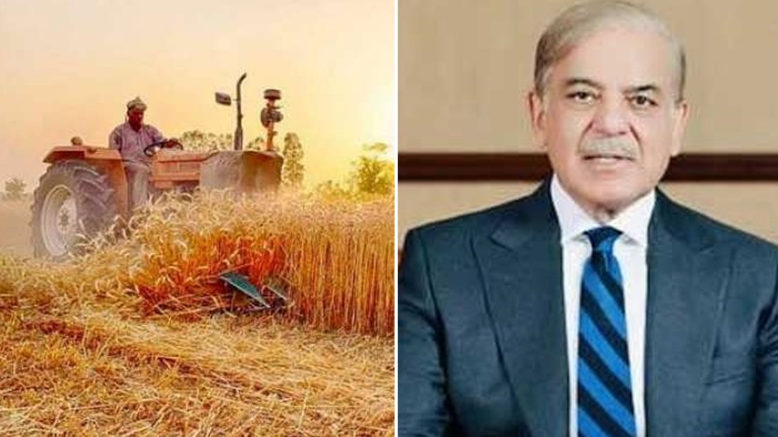 حکومت نے گندم خریداری کا ہدف بڑھا دیا