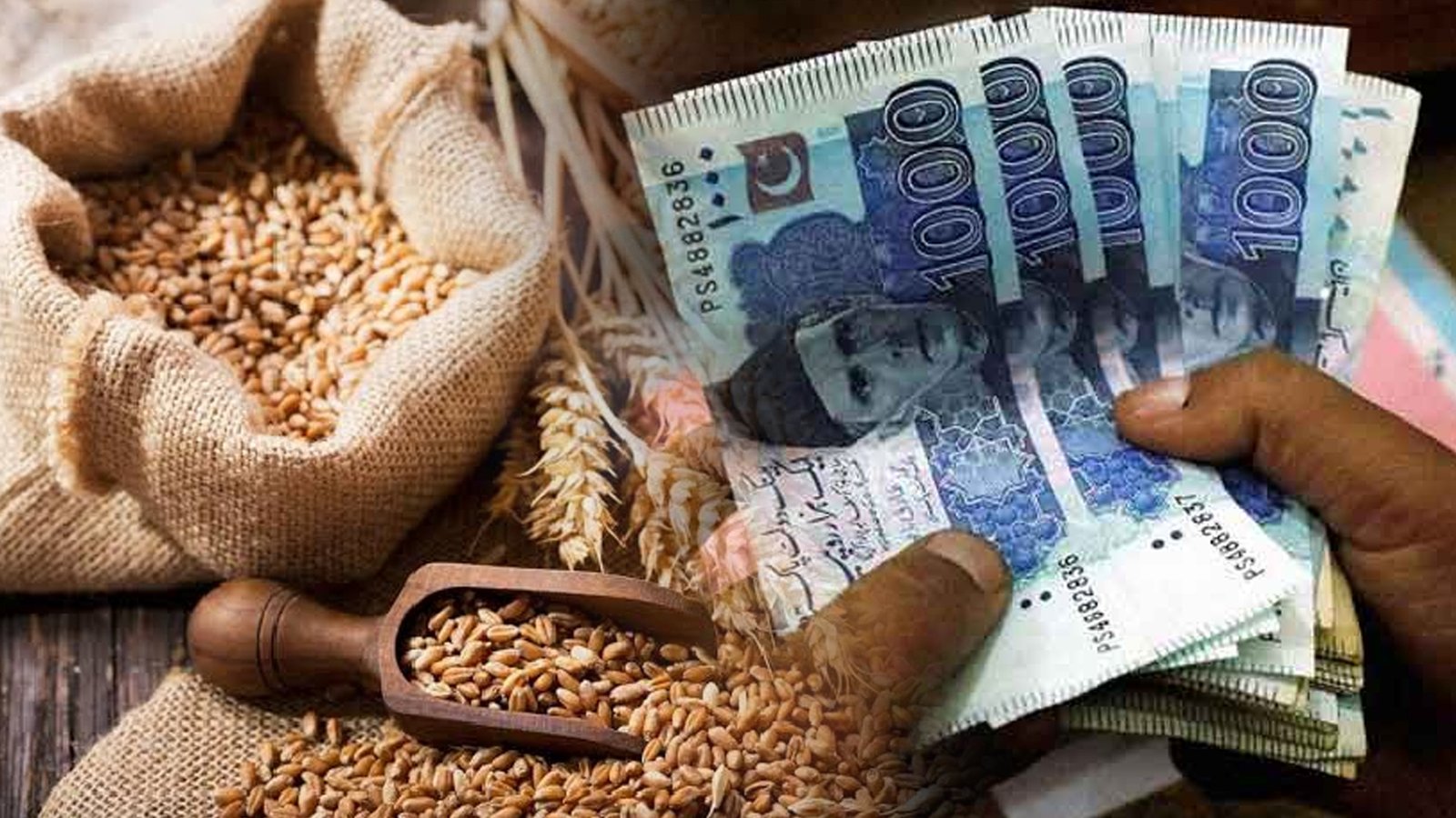 شریعہ بورڈ نے کم سے کم صدقہ فطر اور روزے کا فدیہ کتنا مقرر کر دیا؟