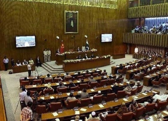 اراکین سینیٹ