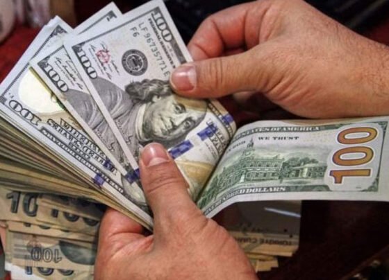 DOLLARS ڈالر کی قدر