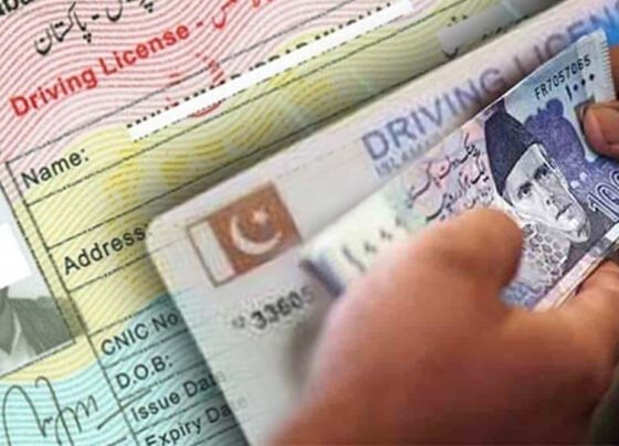 Driving License