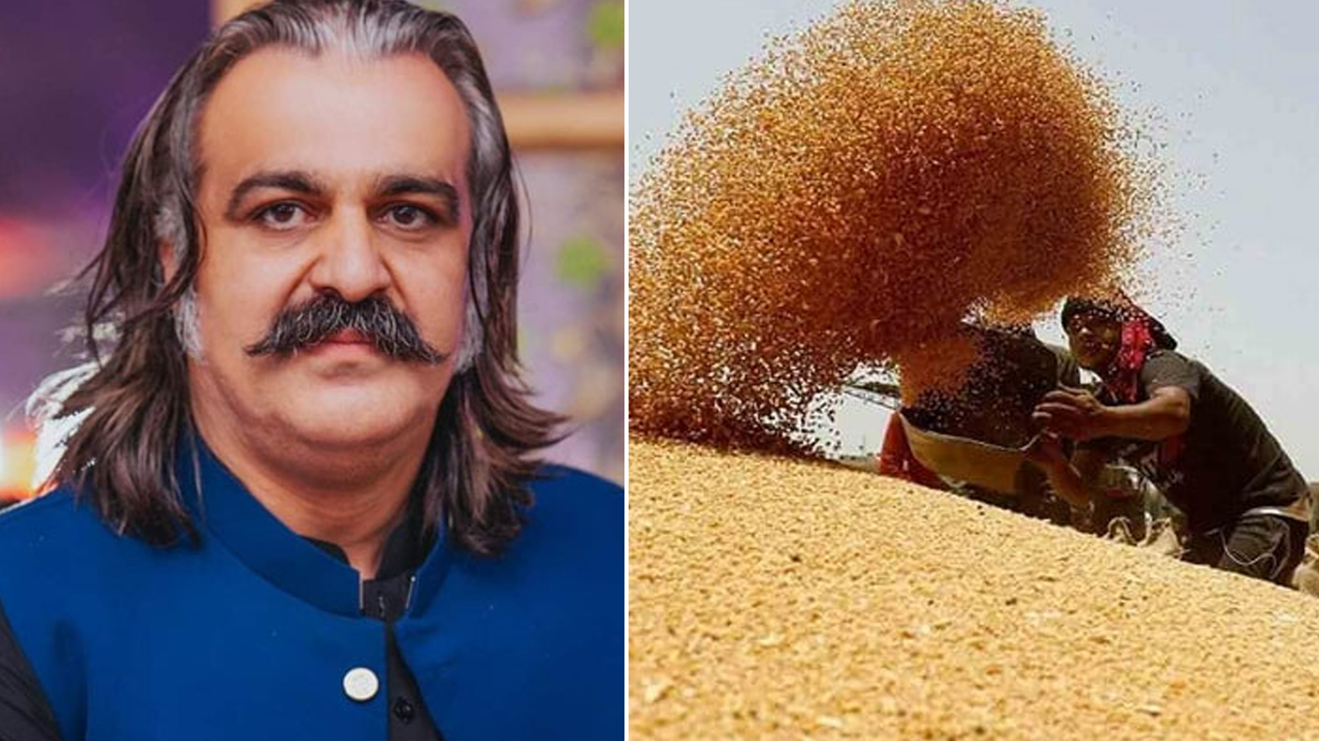 خیبرپختونخوا حکومت نے پنجاب کے کاشتکاروں سے 37 ہزار میٹرک ٹن گندم خرید لی