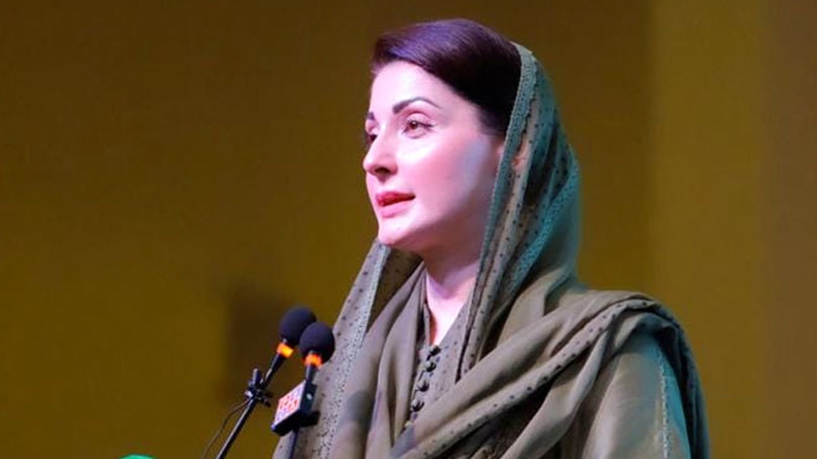 ہم سیسہ پلائی دیوار کی طرح افواجِ پاکستان کیساتھ کھڑے ہیں، وزیراعلیٰ مریم نواز