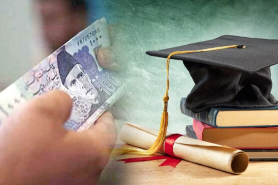 انٹرن شپ گریجویٹس