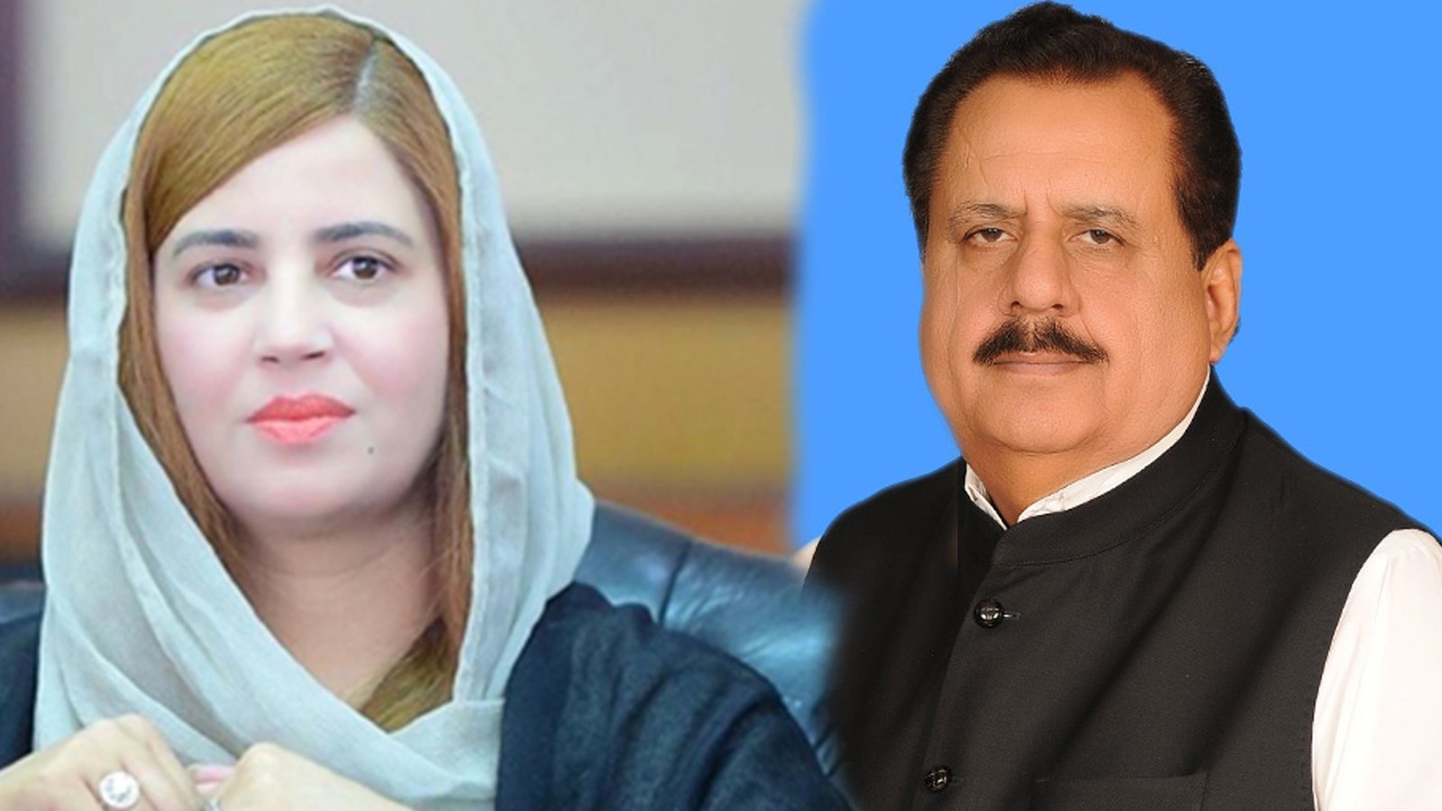 طارق بشیر چیمہ نے زرتاج گل سے معافی مانگ لی