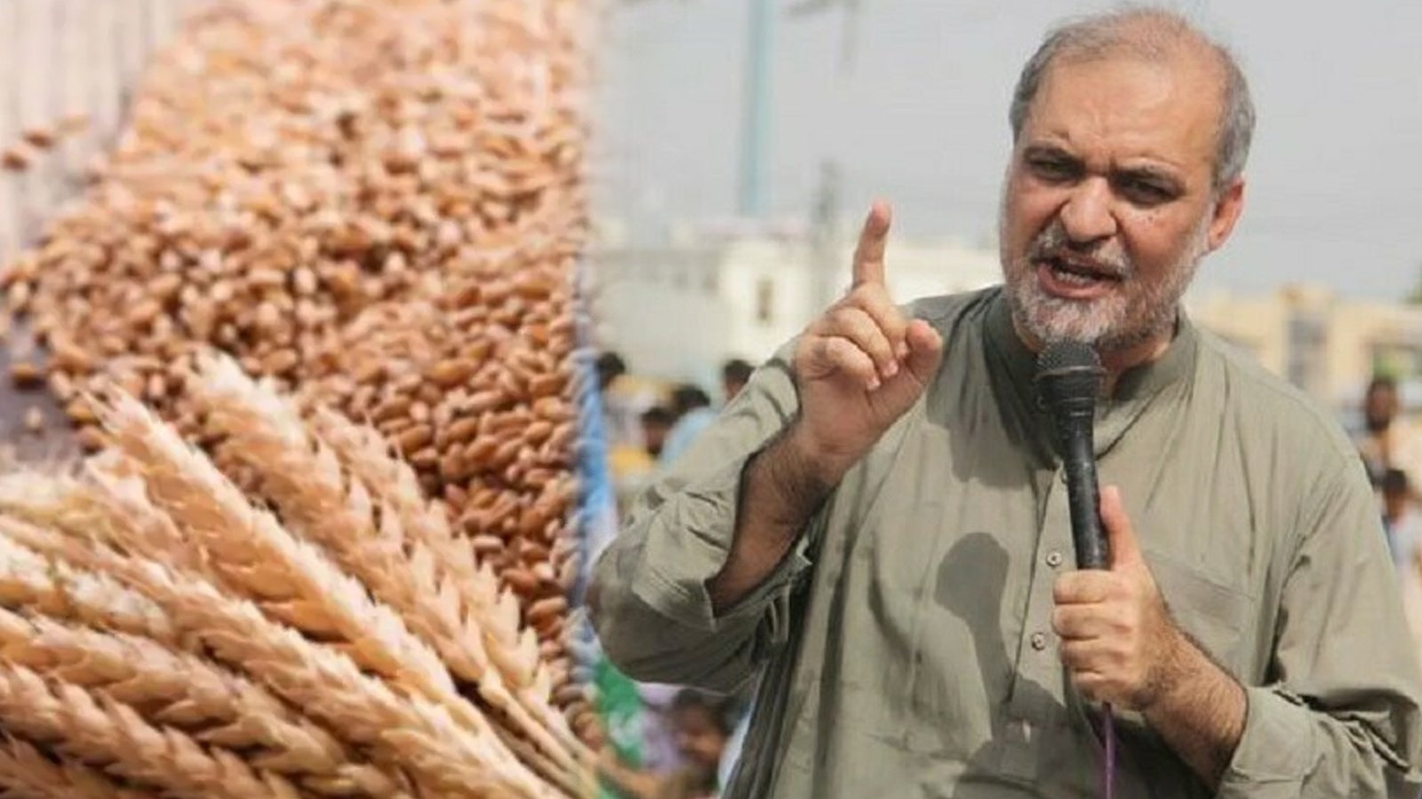 جماعت اسلامی کا گندم اسکینڈل کی جوڈیشل انکوائری کروانے کا مطالبہ