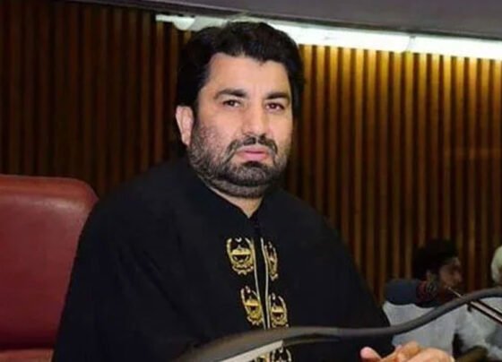 qasim suri