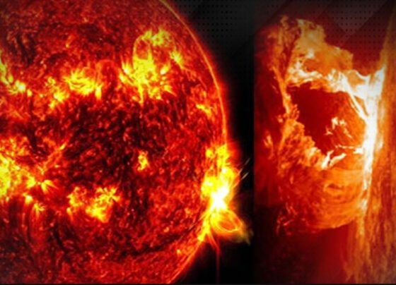 sun blast