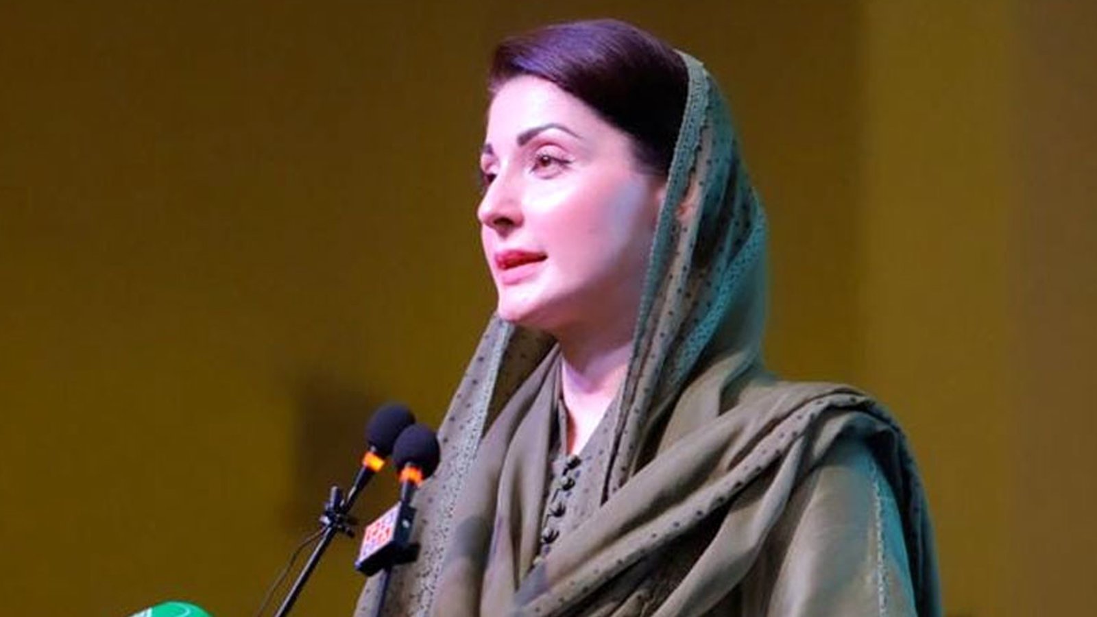5 سال چور چور کا راگ الاپنے والے کوئی ثبوت نہیں دے سکے ، مریم نواز
