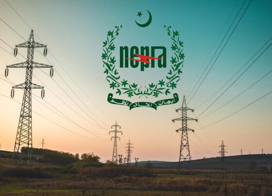 نیپرا اتھارٹی