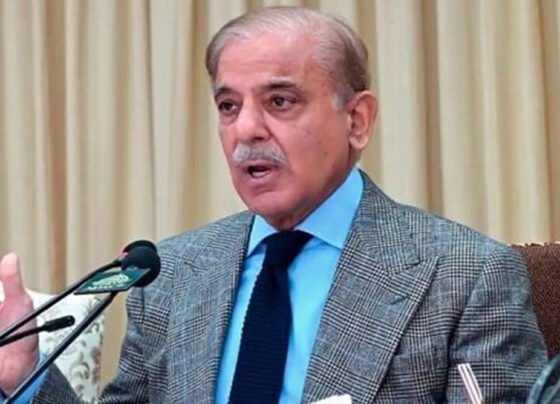 PM Shahbaz Sharif وزیراعظم