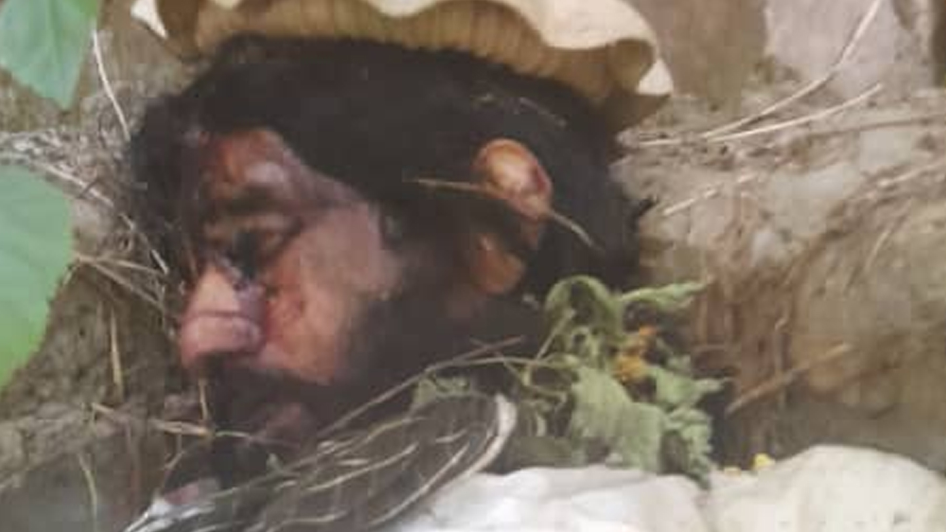 ٹی ٹی پی کا اہم سرغنہ عبدالمنان عرف حکیم اللہ افغانستان میں ہلاک