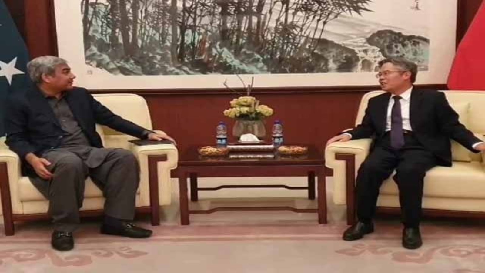 محسن نقوی کی چینی سفیر سے ملاقات، دوطرفہ تعلقات کے فروغ پر تبادلہ خیال