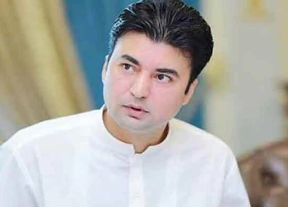 murad saeed