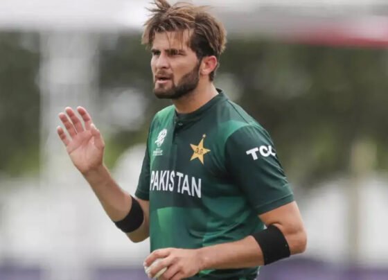 Shaheen Afridi شاہین آفریدی