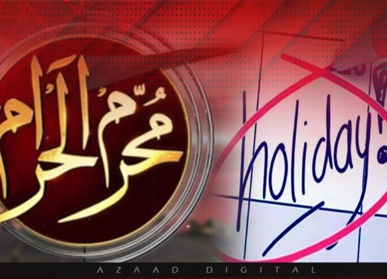 holiday