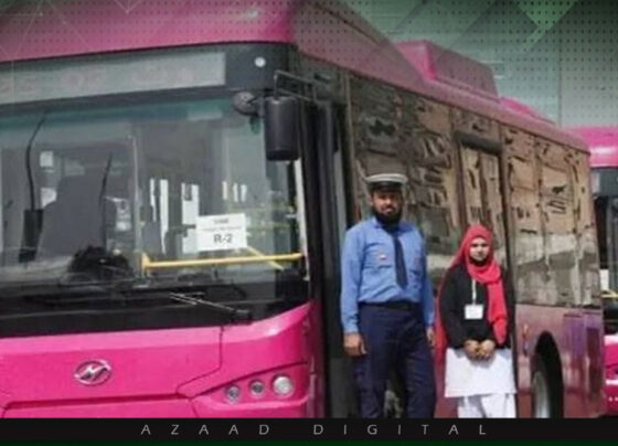 pink bus