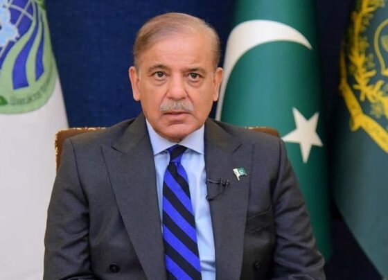 Shahbaz Sharif قرضوں کی آسان