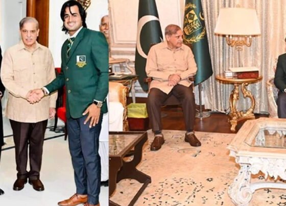 YASIR SULTAN