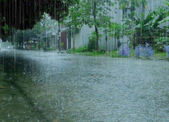 rain بارش کی پیشگوئی