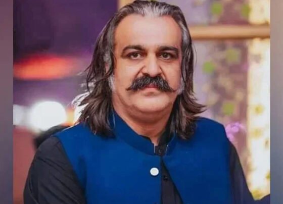 Ali Amin Gandapur