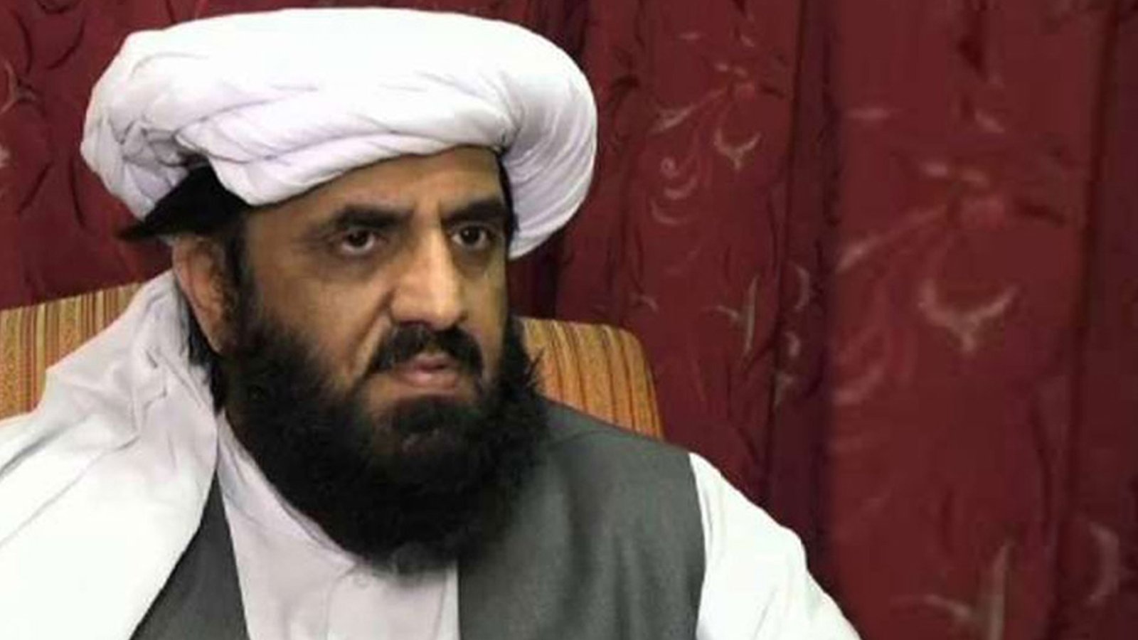 حافظ حمد اللہ نے PTIایم این ایزکی گرفتاری کو آئین و پارلیمنٹ پرحملہ قراردیدیا