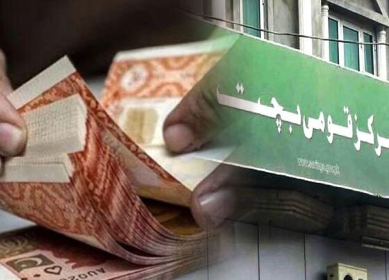 قومی بچت اسکیموں
