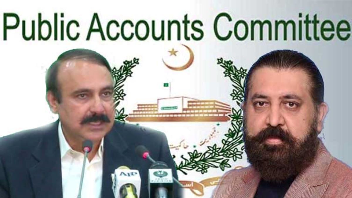 حکومت کا چیئرمین پبلک اکاؤنٹس کمیٹی کے لئے عبوری چیئرمین مقرر کرنے کا فیصلہ