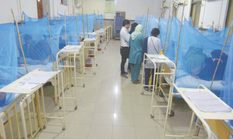 اسلام آباد میں ڈینگی کا پھیلاؤ شدت اختیار کر گیا: ہسپتالوں میں مریضوں کی بھرمار