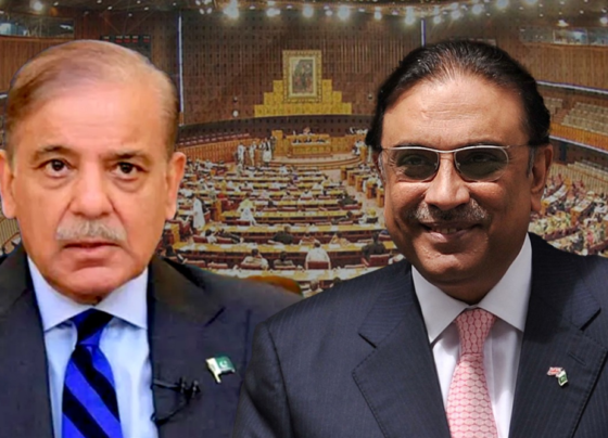 ppp and pmln