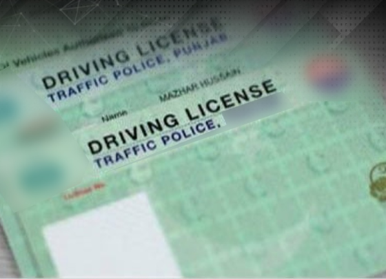 Driving Lisence ڈرائیونگ لائسنس
