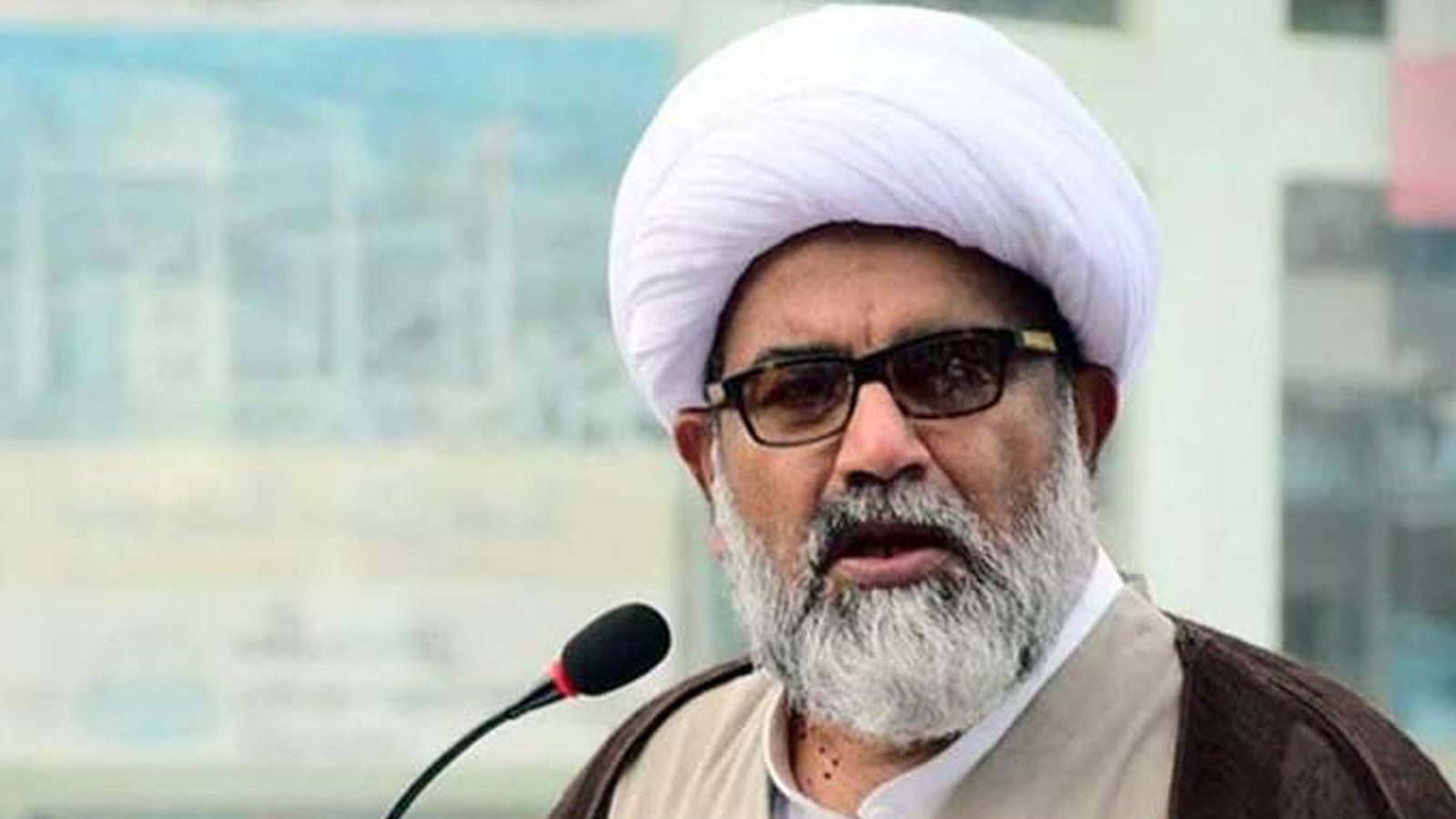 سینیٹر علامہ راجہ ناصر عباس کا ملک بھر میں دھرنے ختم کرنے کا اعلان