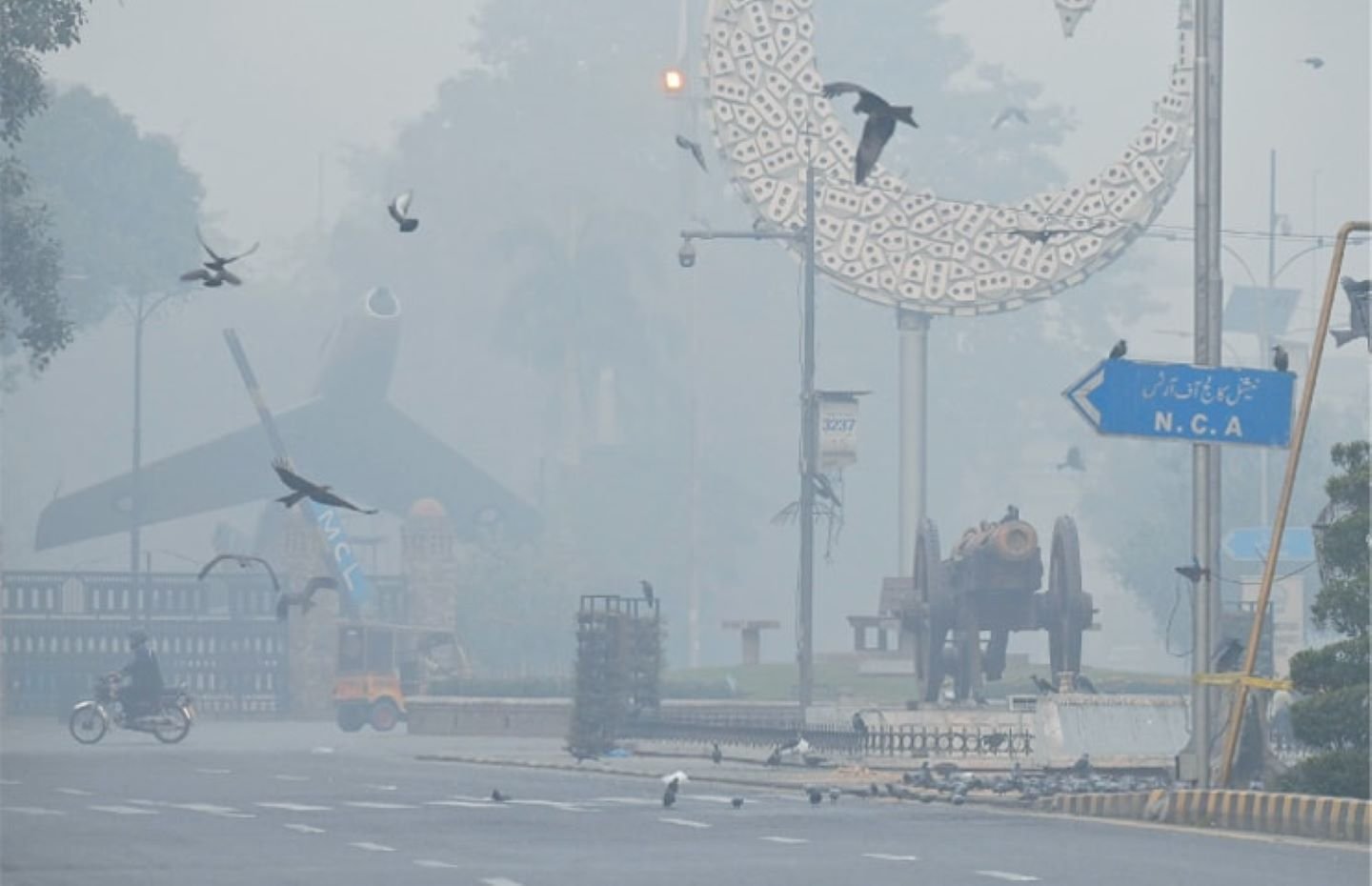 بدترین سموگ پرندوں کی زندگیوں کےلیے بھی خطرہ، قوتِ مدافعت کم ہونے سے شرح اموات میں اضافہ