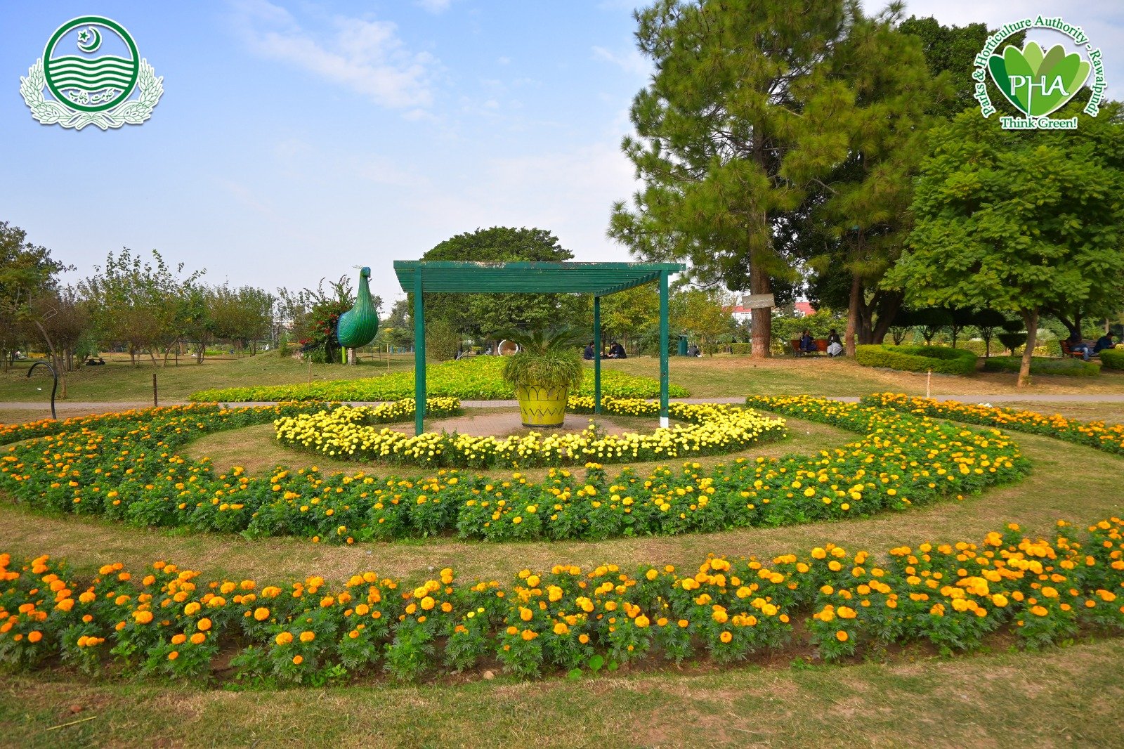 پی ایچ اے کے شجرکاری اقدامات سے راولپنڈی سموگ کے شدید اثرات سےمحفوظ