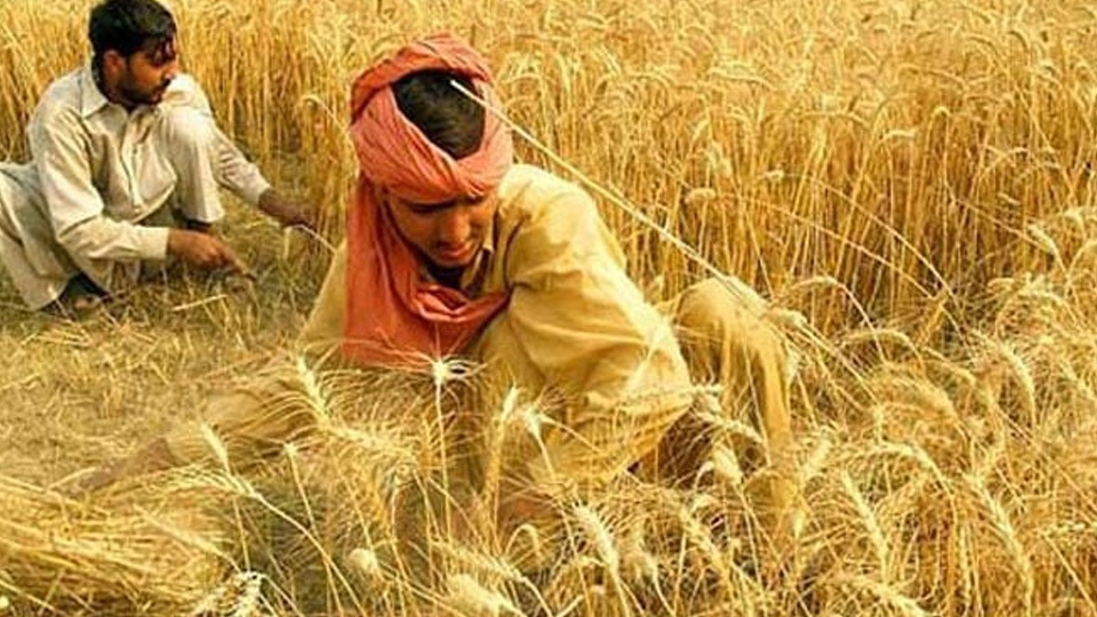 بلوچستان حکومت کا صوبے میں بے نظیر کسان کارڈ متعارف کرانے کا فیصلہ
