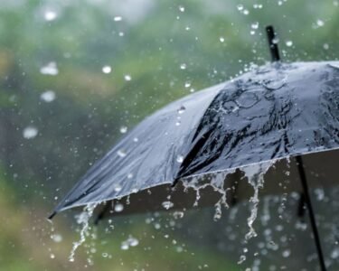 بارش کی پیشگوئی