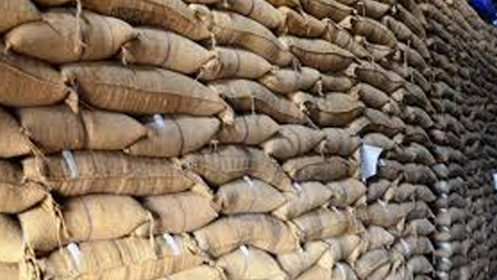 خیبرپختونخوا، گوداموں میں پڑی 10 ارب مالیت کی گندم خراب