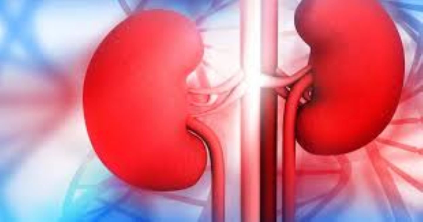 گردوں کی خرابی کے بعد مریض میں ظاہر ہونیوالی ممکنہ 13 علامات