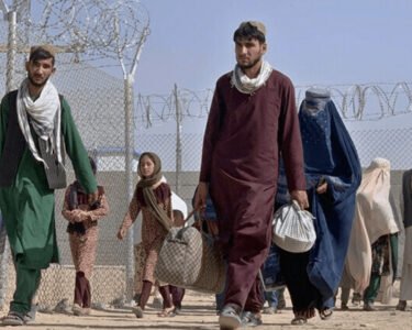 افغان سیٹیزن