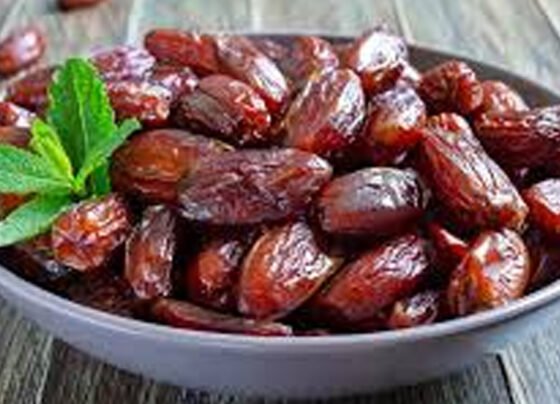 کھجور کی قیمت