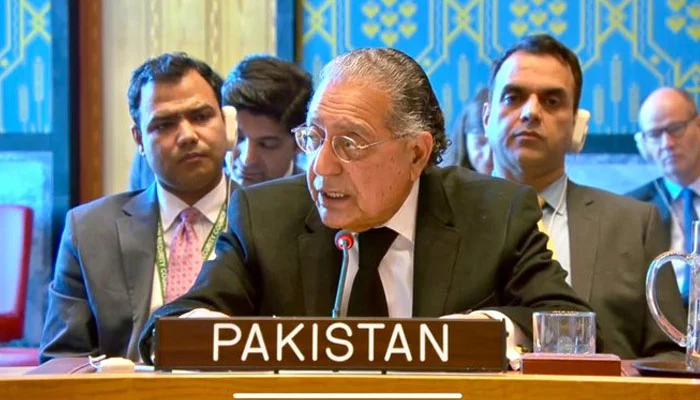 غزہ میں نسل کشی روکنے کیلئے پاکستان کا اقوامِ متحدہ کی سلامتی کونسل سے فوری اقدام کا مطالبہ
