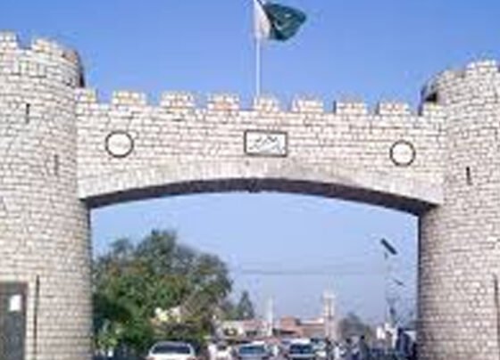 قبضہ مافیا
