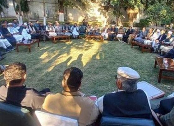 ضلع کرم