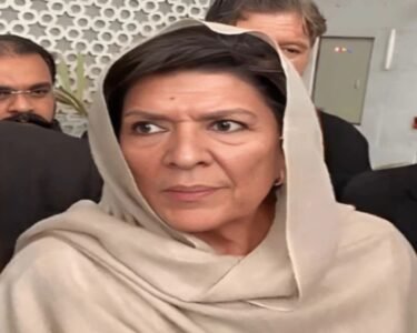aleema