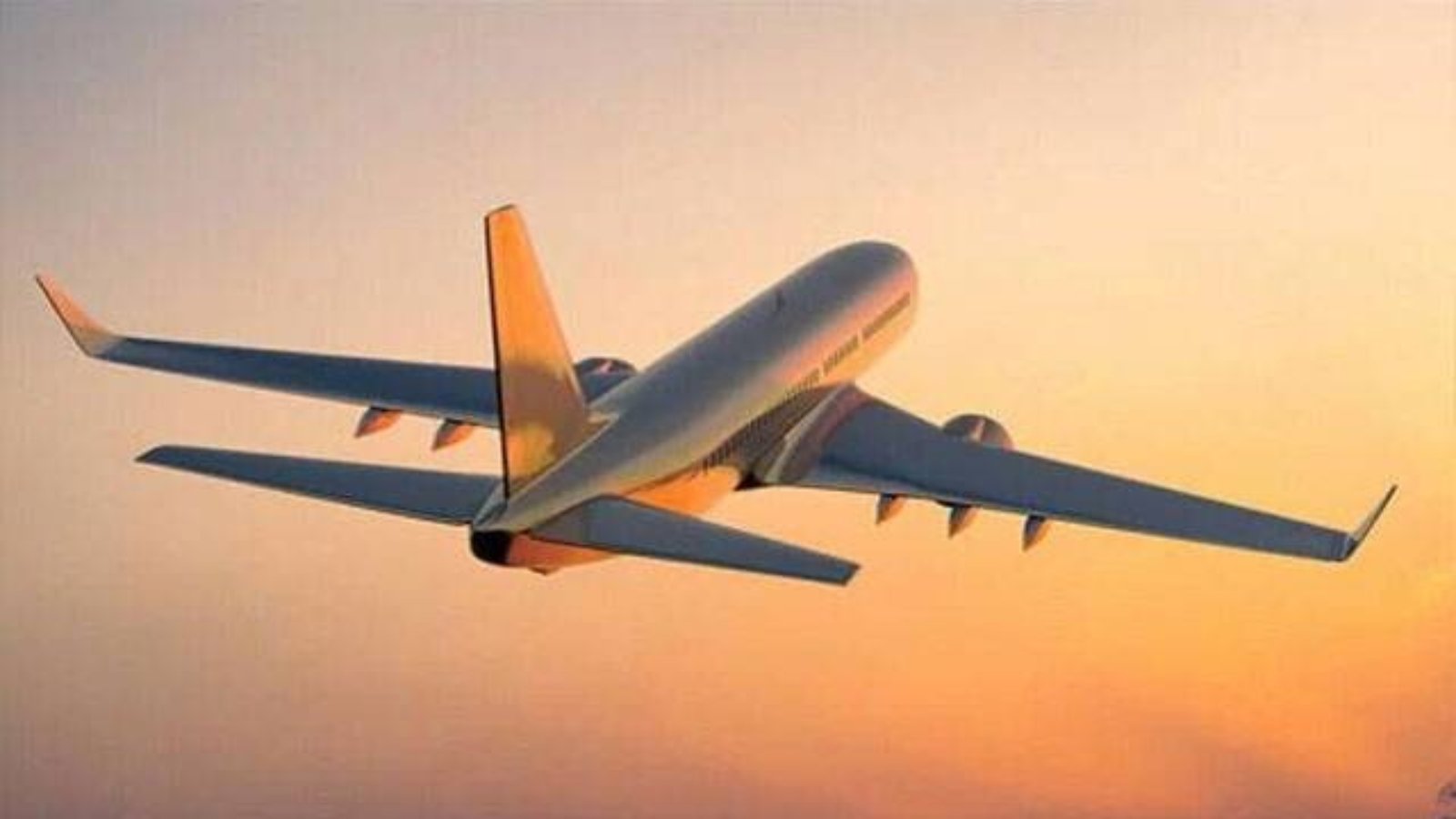 بیرون ملک مقیم پاکستانیوں کو انٹرنیشنل لائسنس بنوانے کیلئے دفاتر کے چکر نہیں لگانا پڑیں گے