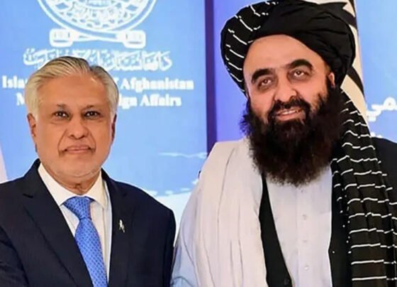 سفیر کا درجہ
