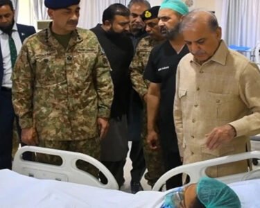 وزیراعظم اور فیلڈ مارشل