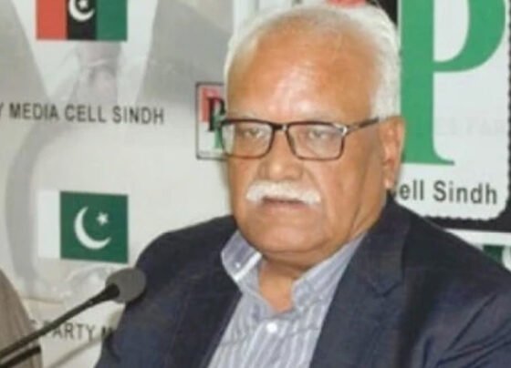 پیپلز پارٹی کے وقار مہدی