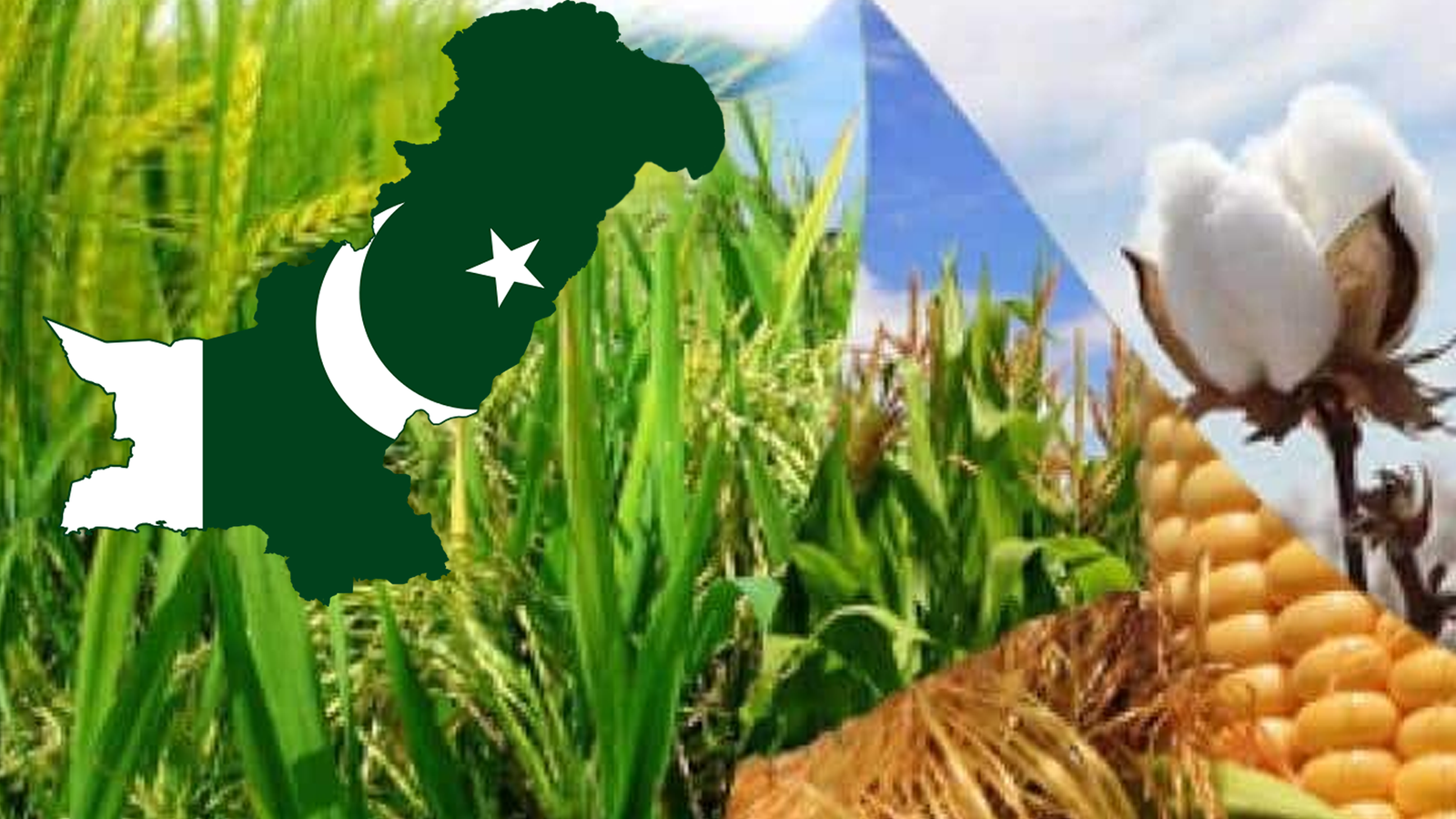 پاکستان کو زرعی اصلاحات کے لیے مدد مل گئی